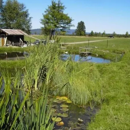 Haus Wasserwieseg * هايدموهله